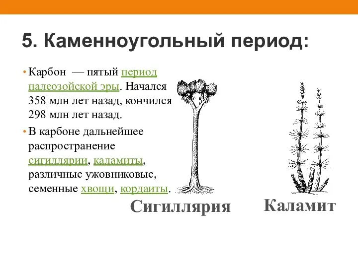 5. Каменноугольный период: Карбон — пятый период палеозойской эры. Начался 358