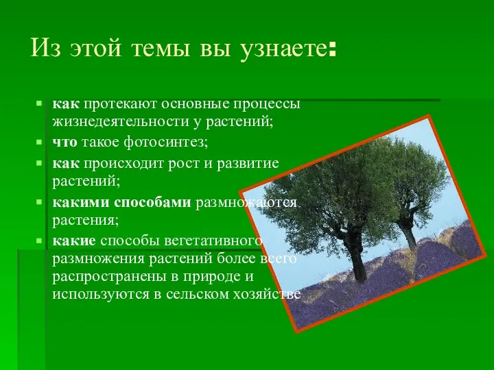 Из этой темы вы узнаете: как протекают основные процессы жизнедеятельности у