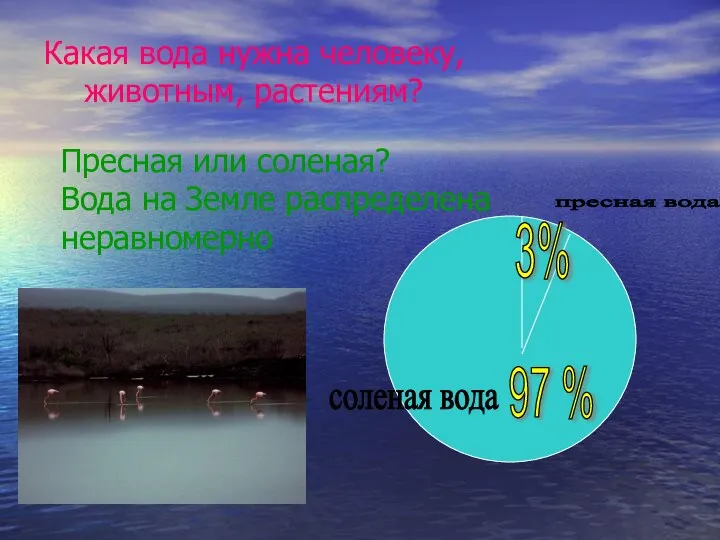 пресная вода соленая вода 3% 97 % Какая вода нужна человеку,