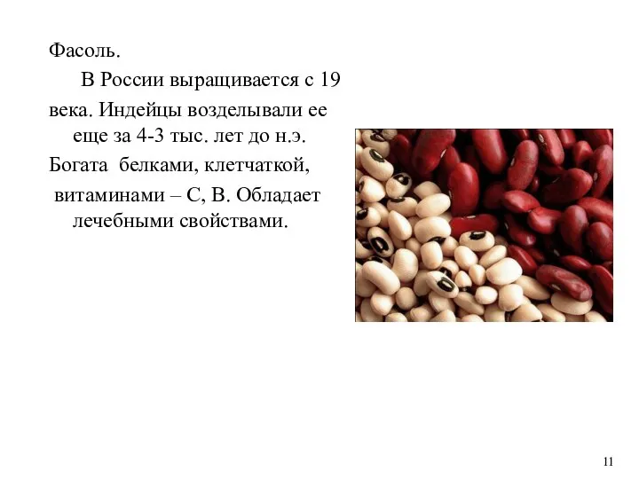 Фасоль. В России выращивается с 19 века. Индейцы возделывали ее еще