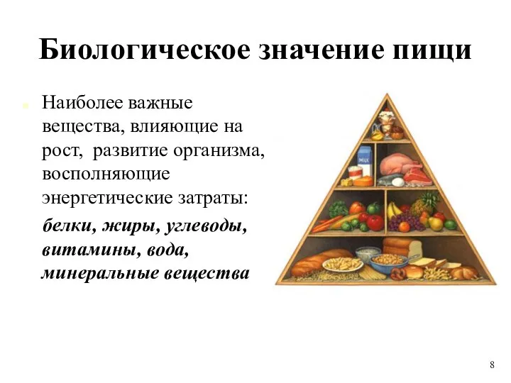 Биологическое значение пищи Наиболее важные вещества, влияющие на рост, развитие организма,