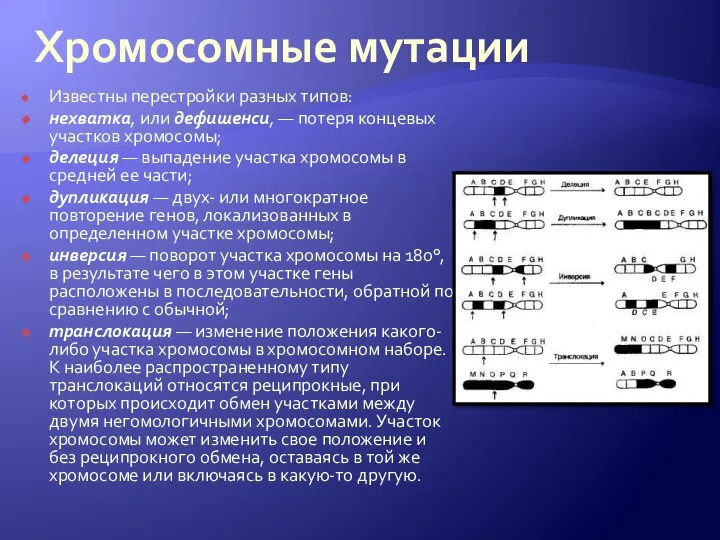 Хромосомные мутации Известны перестройки разных типов: нехватка, или дефишенси, — потеря