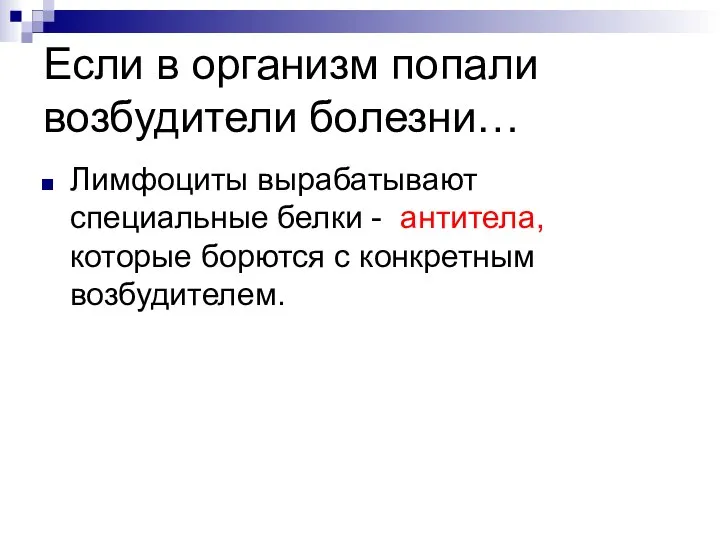 Если в организм попали возбудители болезни… Лимфоциты вырабатывают специальные белки -