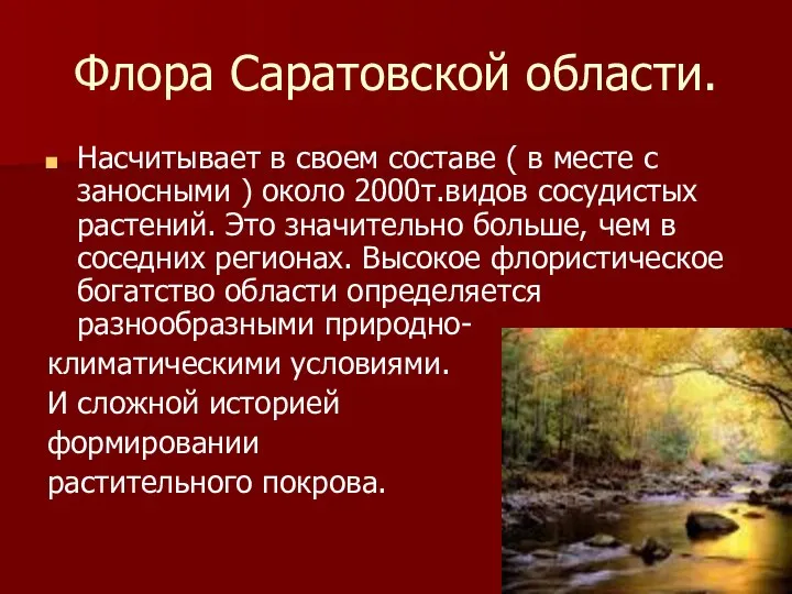 Флора Саратовской области. Насчитывает в своем составе ( в месте с