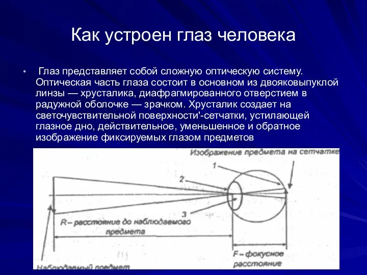 Как устроен глаз человека Глаз представляет собой сложную оптическую систему. Оптическая