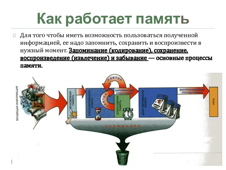 Как работает память Для того чтобы иметь возможность пользоваться полученной информацией,