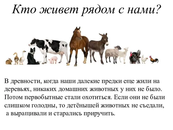 Кто живет рядом с нами? В древности, когда наши далекие предки