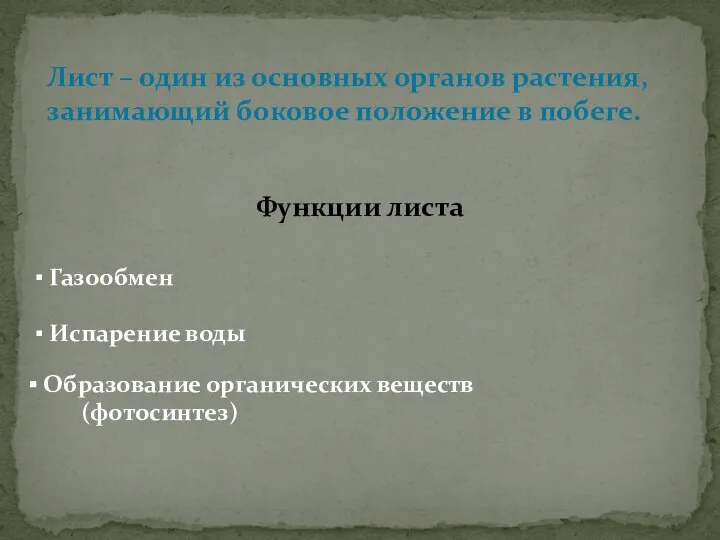 Лист – один из основных органов растения, занимающий боковое положение в