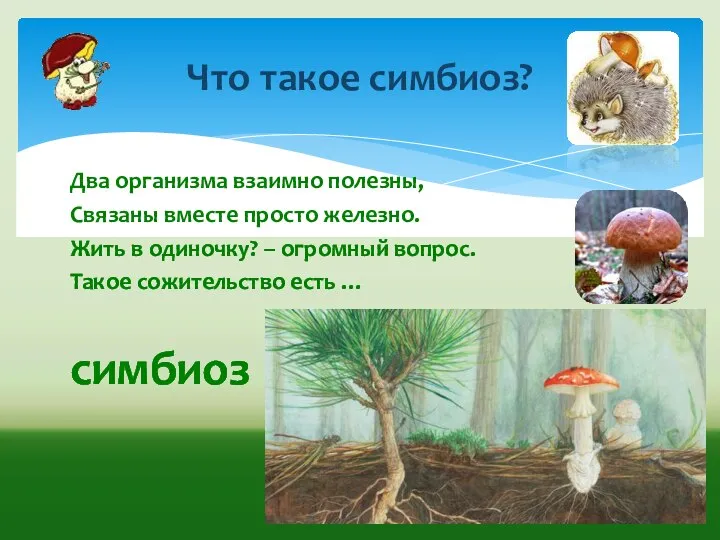 Два организма взаимно полезны, Связаны вместе просто железно. Жить в одиночку?