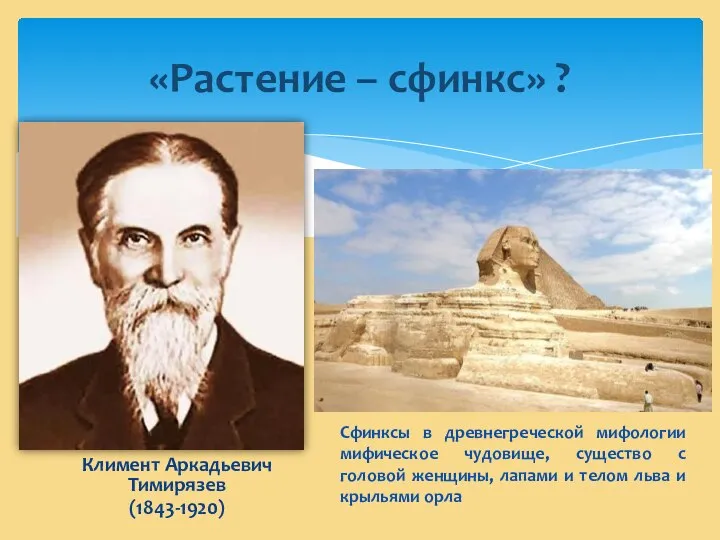 Климент Аркадьевич Тимирязев (1843-1920) «Растение – сфинкс» ? Сфинксы в древнегреческой