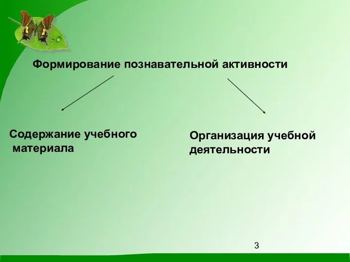 Формирование познавательной активности Содержание учебного материала Организация учебной деятельности