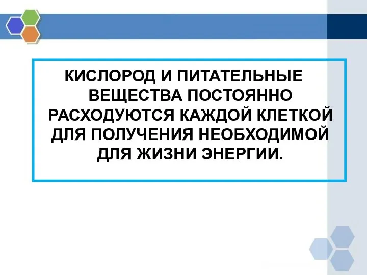 КИСЛОРОД И ПИТАТЕЛЬНЫЕ ВЕЩЕСТВА ПОСТОЯННО РАСХОДУЮТСЯ КАЖДОЙ КЛЕТКОЙ ДЛЯ ПОЛУЧЕНИЯ НЕОБХОДИМОЙ ДЛЯ ЖИЗНИ ЭНЕРГИИ.