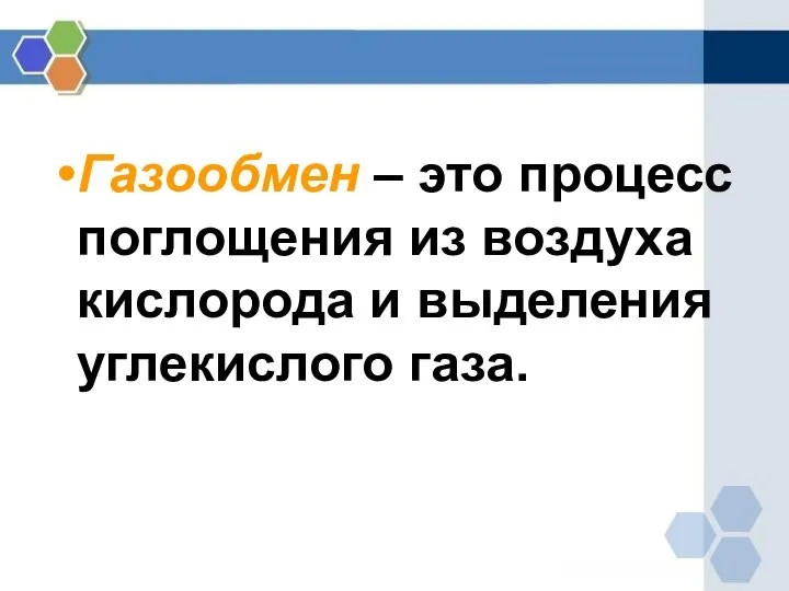 Газообмен – это процесс поглощения из воздуха кислорода и выделения углекислого газа.