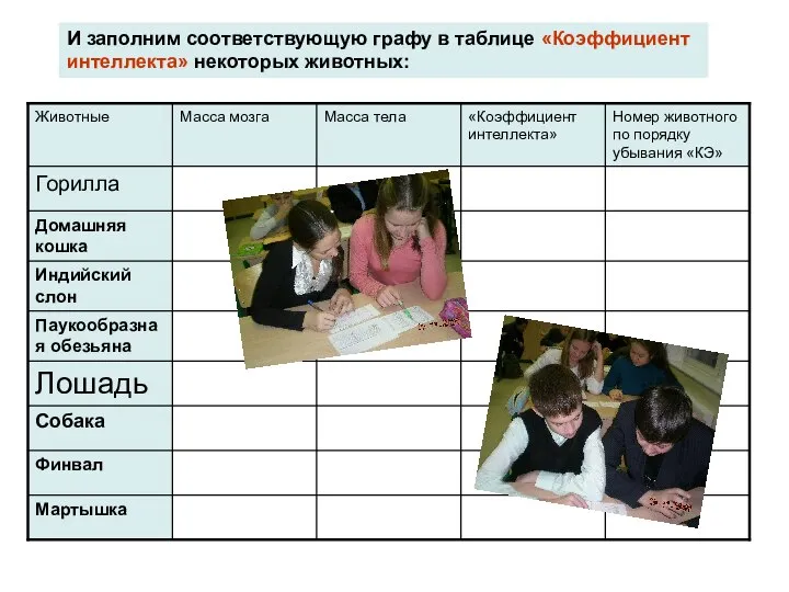 И заполним соответствующую графу в таблице «Коэффициент интеллекта» некоторых животных: