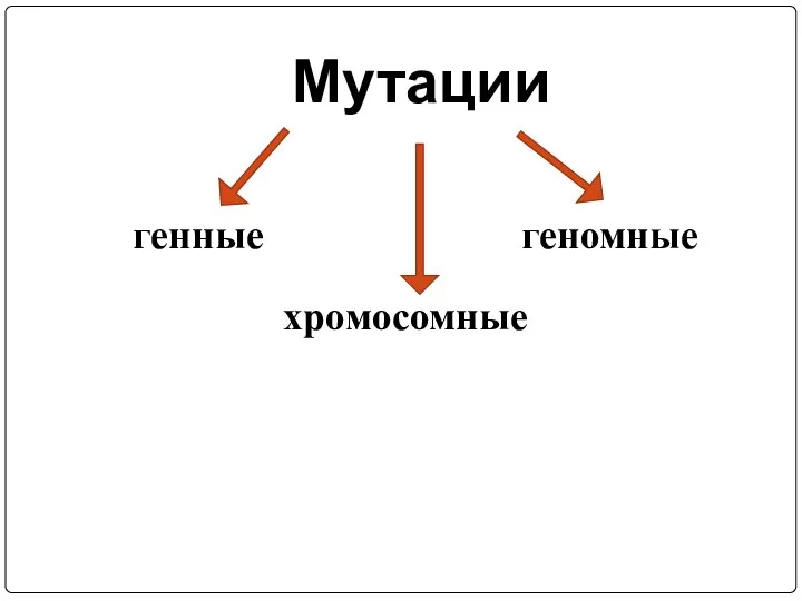 Мутации генные хромосомные геномные