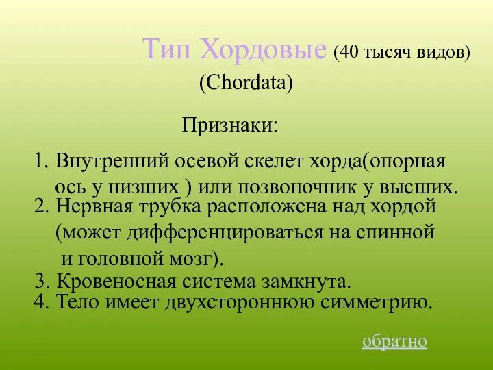 Тип Хордовые (Chordata) 4. Тело имеет двухстороннюю симметрию. (40 тысяч видов)