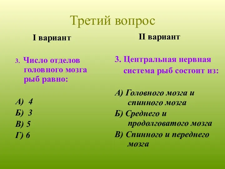 I вариант 3. Число отделов головного мозга рыб равно: А) 4