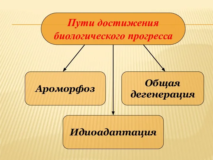 Пути достижения биологического прогресса Ароморфоз Идиоадаптация Общая дегенерация