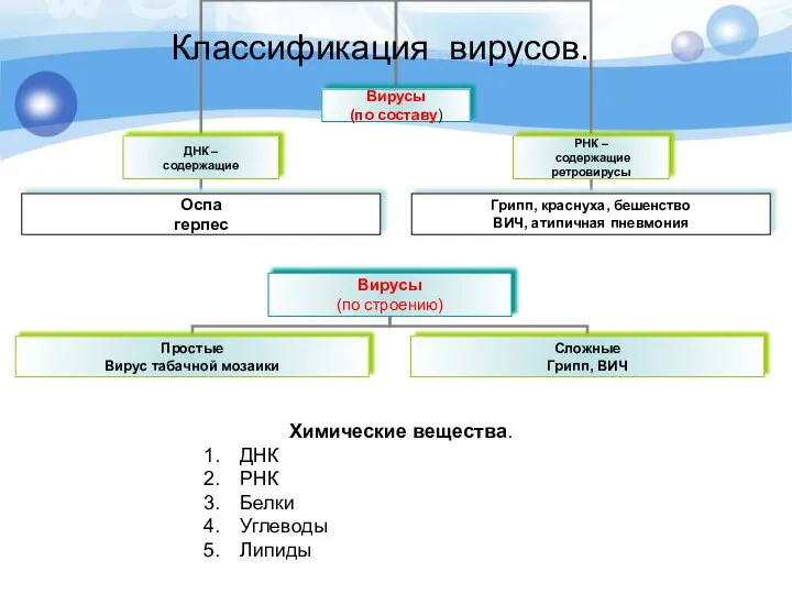 Классификация вирусов. Химические вещества. ДНК РНК Белки Углеводы Липиды