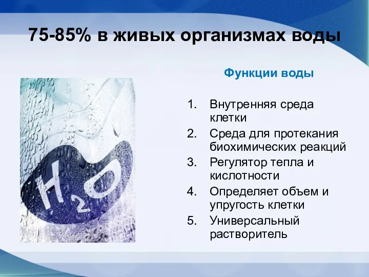 75-85% в живых организмах воды Функции воды Внутренняя среда клетки Среда