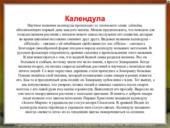 Календула Научное название календулы происходит от латинского слова calendae, обозначающего первый