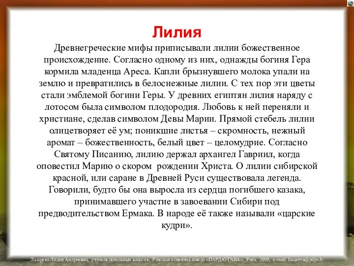 Лилия Древнегреческие мифы приписывали лилии божественное происхождение. Согласно одному из них,