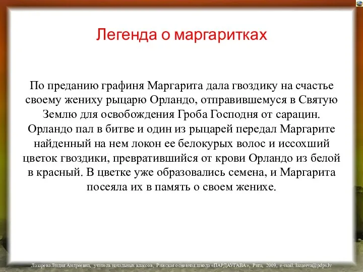 Легенда о маргаритках По преданию графиня Маргарита дала гвоздику на счастье