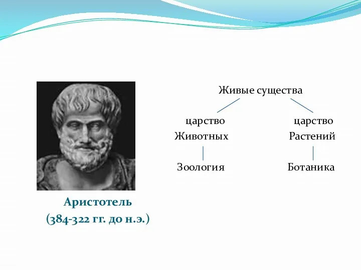 Аристотель (384-322 гг. до н.э.) Живые существа царство царство Животных Растений Зоология Ботаника