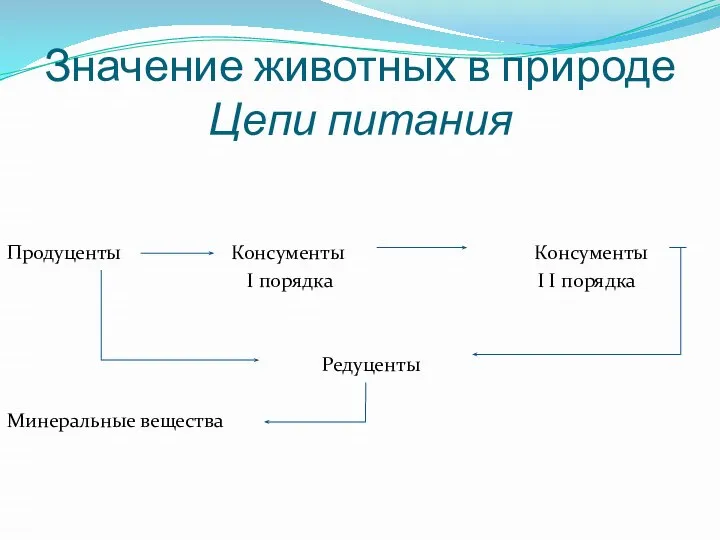 Значение животных в природе Цепи питания Продуценты Консументы Консументы I порядка