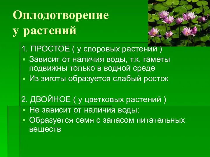 Оплодотворение у растений 1. ПРОСТОЕ ( у споровых растений ) Зависит