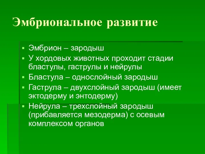 Эмбриональное развитие Эмбрион – зародыш У хордовых животных проходит стадии бластулы,