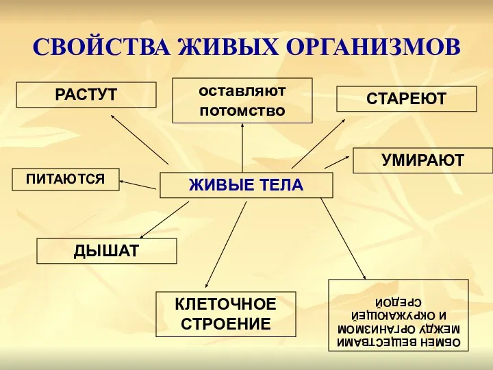 ЖИВЫЕ ТЕЛА ДЫШАТ оставляют потомство ПИТАЮТСЯ РАСТУТ УМИРАЮТ СТАРЕЮТ КЛЕТОЧНОЕ СТРОЕНИЕ