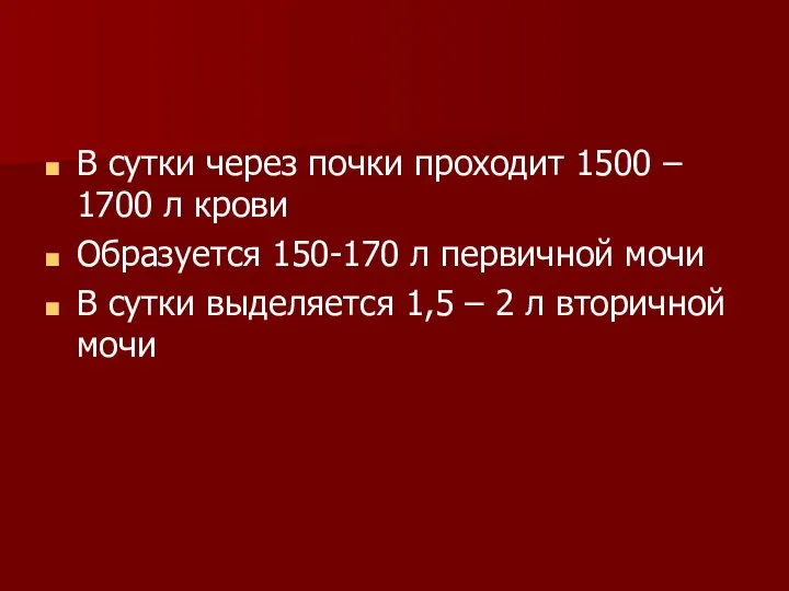 В сутки через почки проходит 1500 – 1700 л крови Образуется