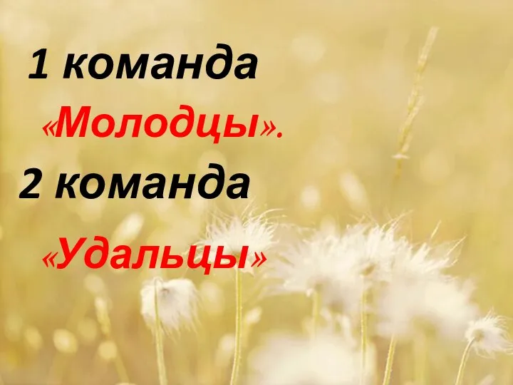 1 команда «Молодцы». 2 команда «Удальцы»