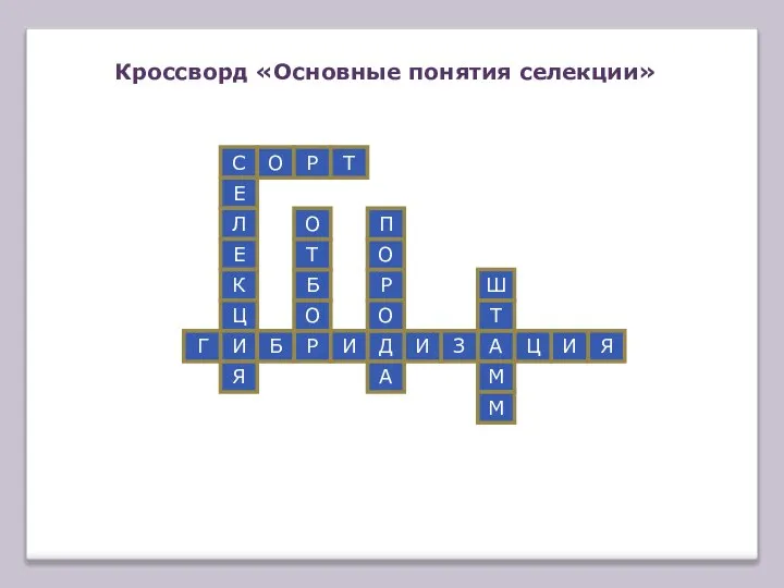 Кроссворд «Основные понятия селекции» С Е Л Е К Ц И