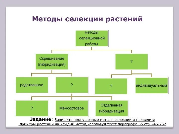 Методы селекции растений Задание: Запишите пропущенные методы селекции и приведите примеры