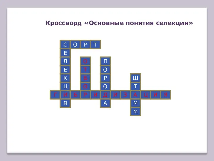 Кроссворд «Основные понятия селекции» С Е Л Е К Ц И