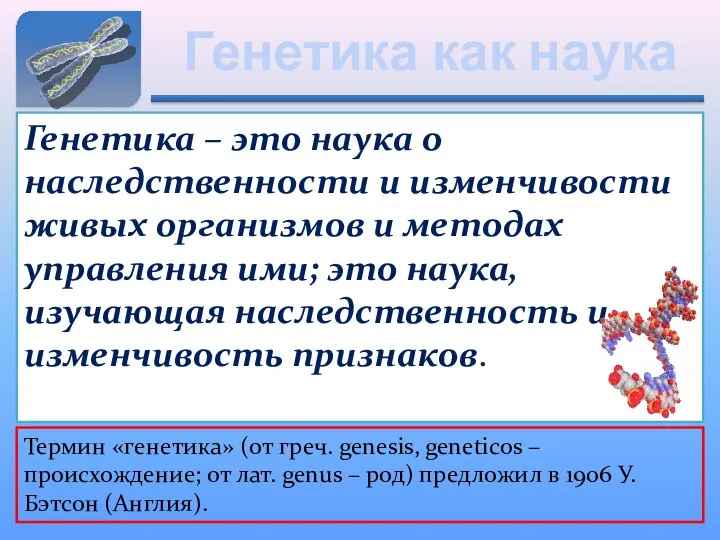 Генетика как наука Генетика – это наука о наследственности и изменчивости