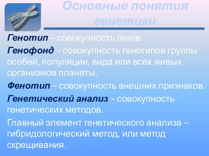 Основные понятия генетики Генотип – совокупность генов. Генофонд – совокупность генотипов