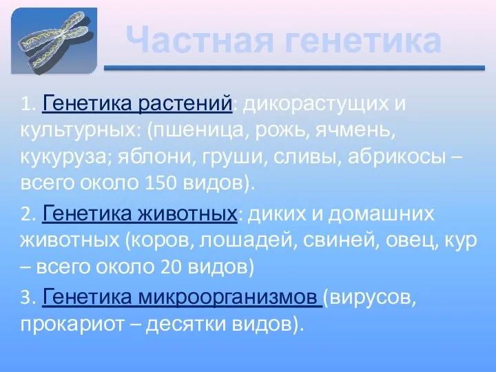 Частная генетика 1. Генетика растений: дикорастущих и культурных: (пшеница, рожь, ячмень,