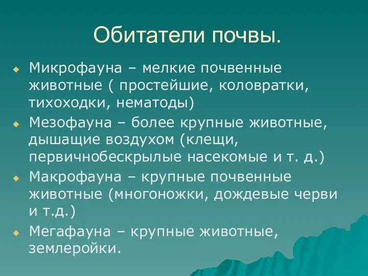 Обитатели почвы. Микрофауна – мелкие почвенные животные ( простейшие, коловратки, тихоходки,