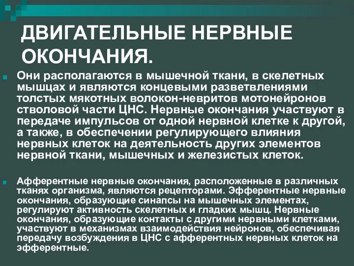 ДВИГАТЕЛЬНЫЕ НЕРВНЫЕ ОКОНЧАНИЯ. Они располагаются в мышечной ткани, в скелетных мышцах