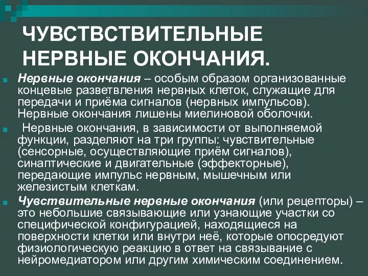 ЧУВСТВСТВИТЕЛЬНЫЕ НЕРВНЫЕ ОКОНЧАНИЯ. Нервные окончания – особым образом организованные концевые разветвления