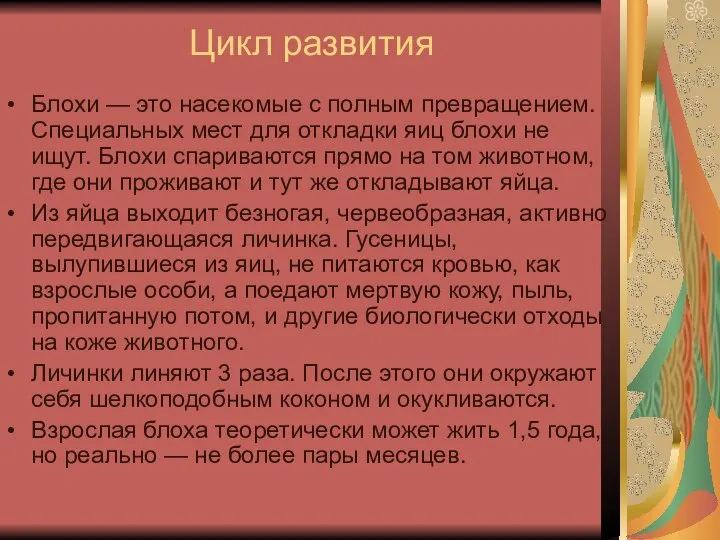 Цикл развития Блохи — это насекомые с полным превращением. Специальных мест