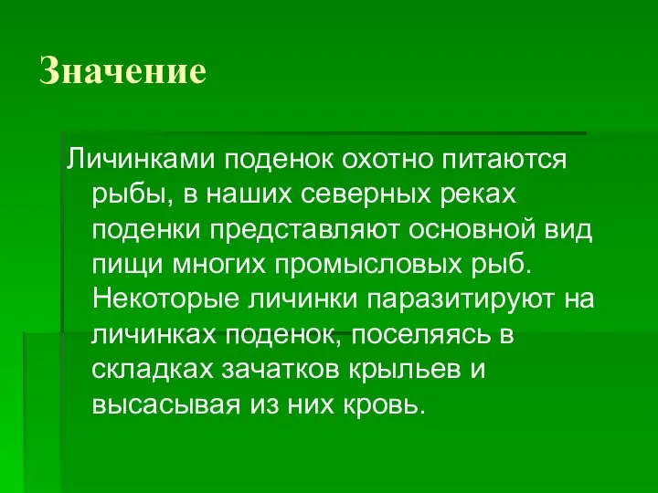 Значение Личинками поденок охотно питаются рыбы, в наших северных реках поденки