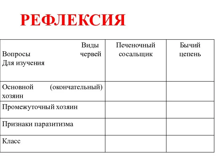 РЕФЛЕКСИЯ