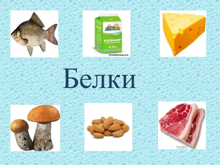 Белки