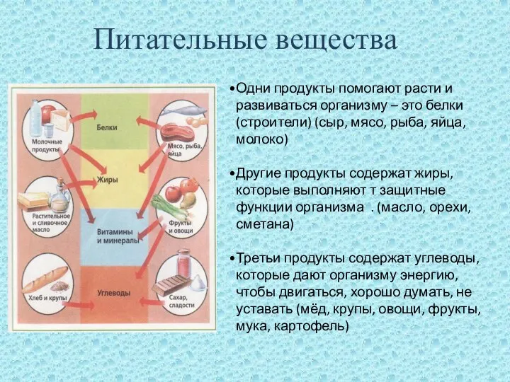 Питательные вещества Одни продукты помогают расти и развиваться организму – это