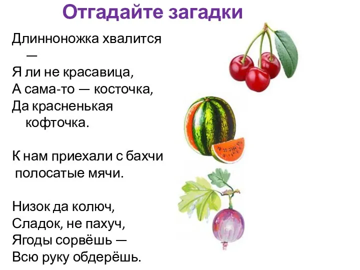 Отгадайте загадки Длинноножка хвалится — Я ли не красавица, А сама-то