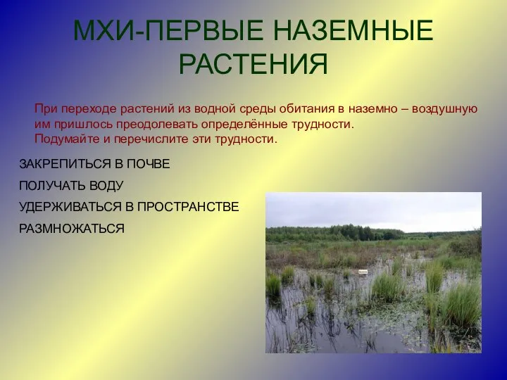 МХИ-ПЕРВЫЕ НАЗЕМНЫЕ РАСТЕНИЯ При переходе растений из водной среды обитания в